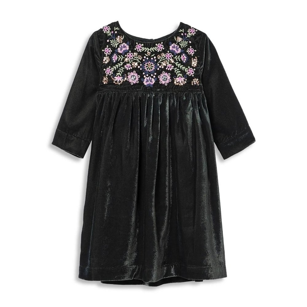 Peek Kids Girls Embroidered Velvet Dress 3T